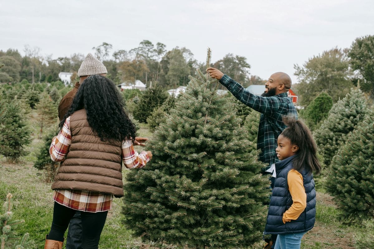 The Enchanting History Of Christmas Decoration Traditions: Origins &Amp; Beautiful Customs 3 Daily Mom, Magazine For Families