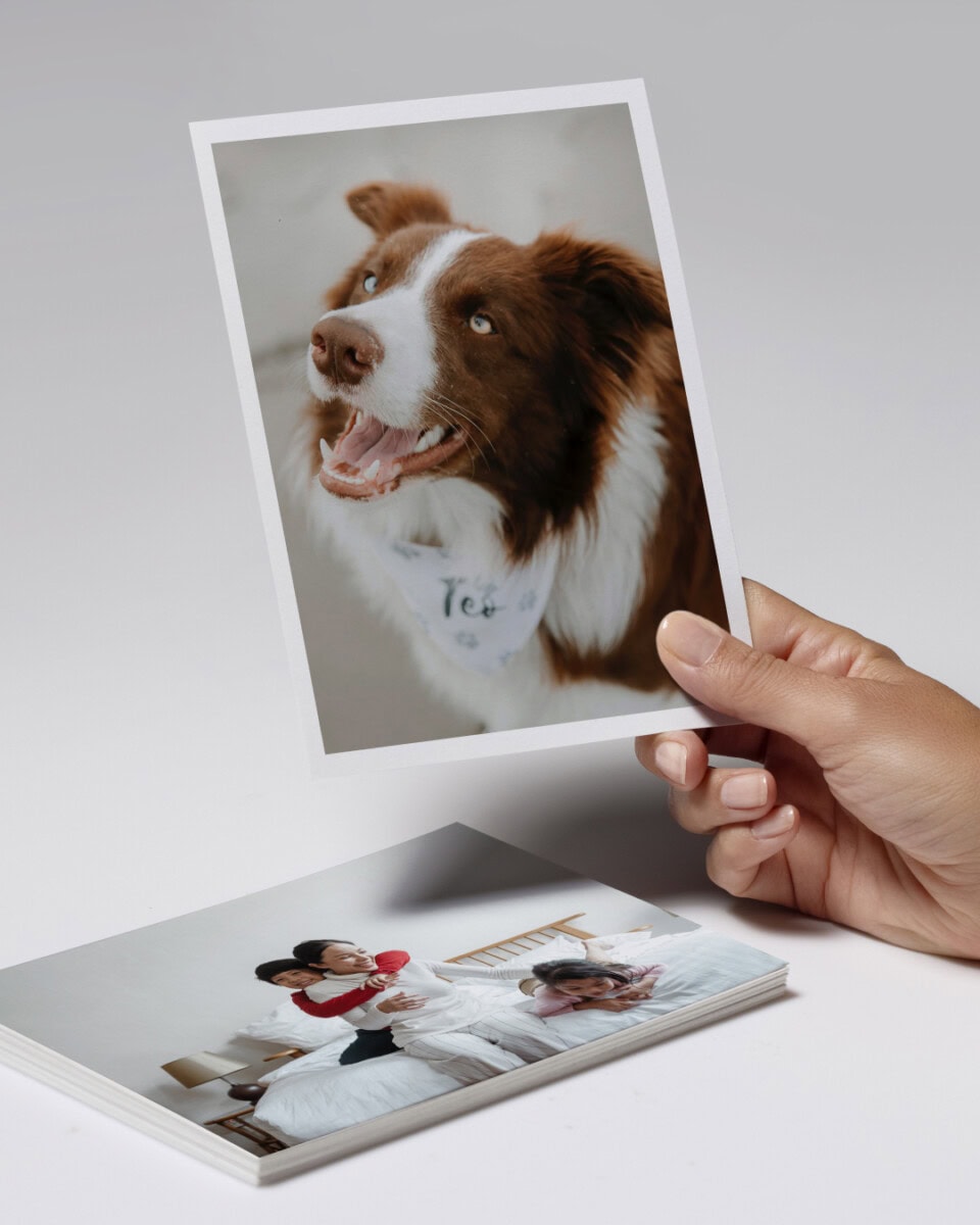 The Best Christmas Gifts for Grandparents They’ll Actually Use (and Maybe Brag About) 12 Daily Mom, Magazine for Families The Best Christmas Gifts For Grandparents They’ll Actually Use (And Maybe Brag About) 12 Daily Mom, Magazine For Families