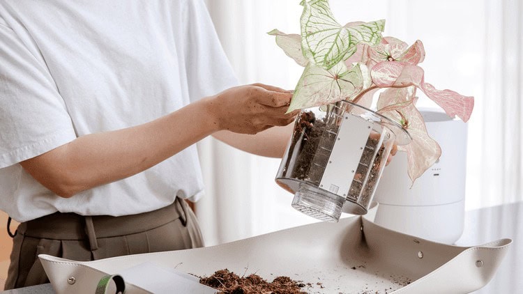 The Best Christmas Gifts for Grandparents They’ll Actually Use (and Maybe Brag About) 33 Daily Mom, Magazine for Families The Best Christmas Gifts For Grandparents They’ll Actually Use (And Maybe Brag About) 33 Daily Mom, Magazine For Families