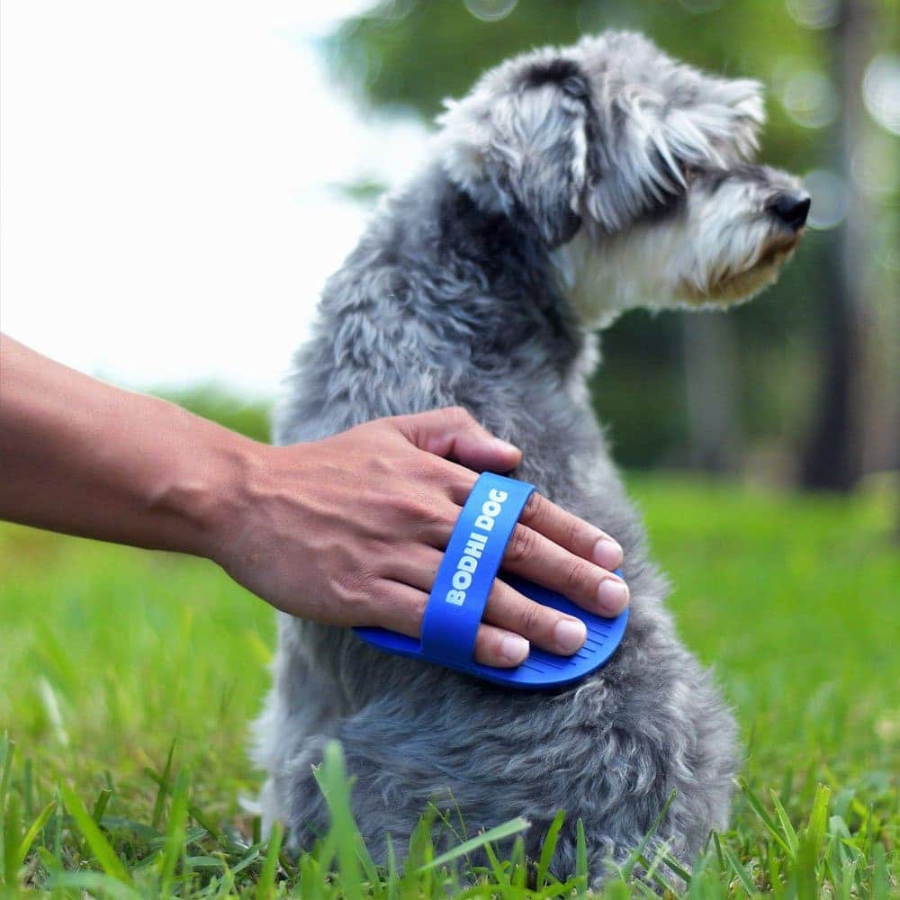 Dog Mom Presents &Amp; Cat-Lover Gifts: The Ultimate Gift Guide With Unique, Thoughtful Ideas For Animal Themed Baskets, Dog Lovers, And Pup Parents 42 Daily Mom, Magazine For Families