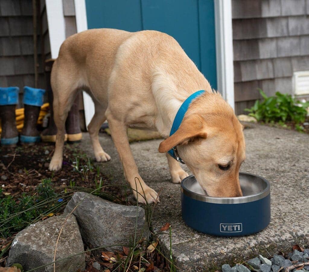 Dog Mom Presents &Amp; Cat-Lover Gifts: The Ultimate Gift Guide With Unique, Thoughtful Ideas For Animal Themed Baskets, Dog Lovers, And Pup Parents 38 Daily Mom, Magazine For Families