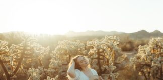 Boho Plus Size Fashion feature