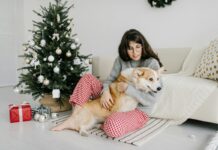 dog mom presents
