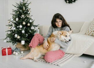 Dog Mom Presents & Cat-Lover Gifts: The Ultimate Gift Guide with Unique, Thoughtful Ideas for Animal Themed Baskets, Dog Lovers, and Pup Parents dog mom presents