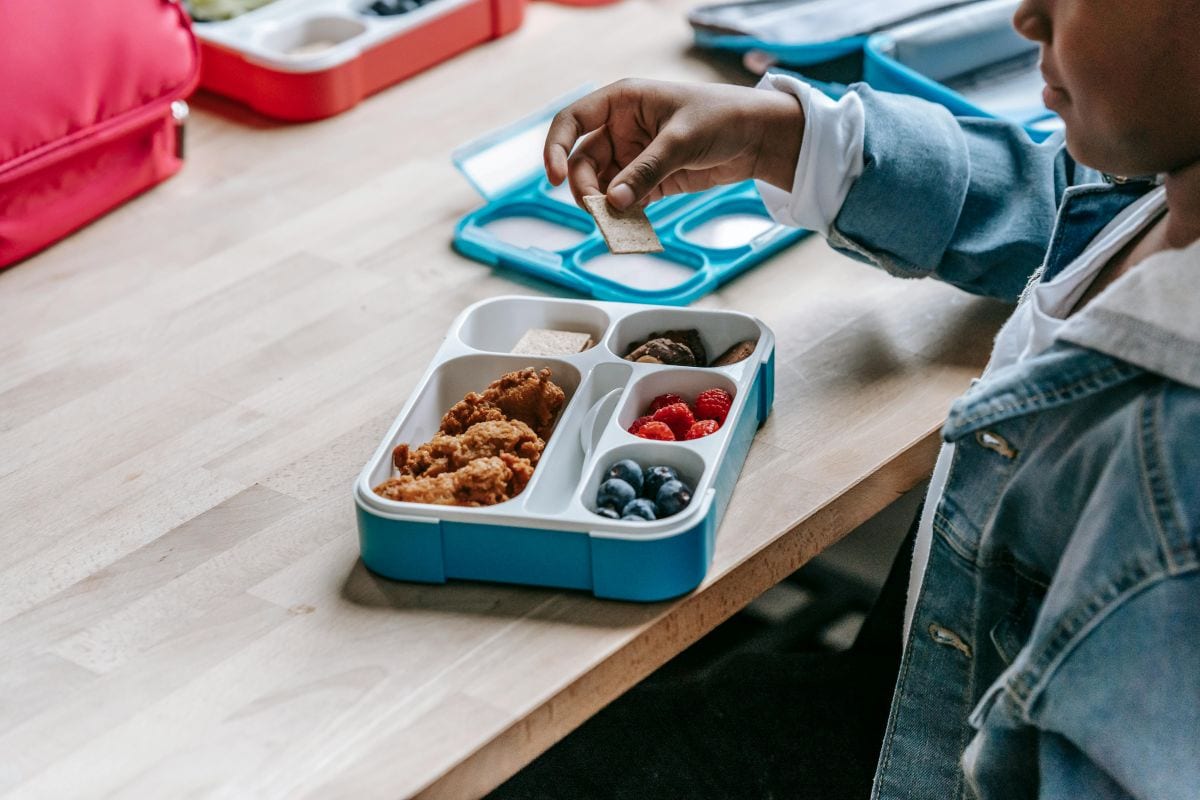 25+ Ultimate Bento Box Meal Ideas: Easy Recipes, &Amp; Bento Box Lunch Ideas For Kids &Amp; Adults 1 Daily Mom, Magazine For Families