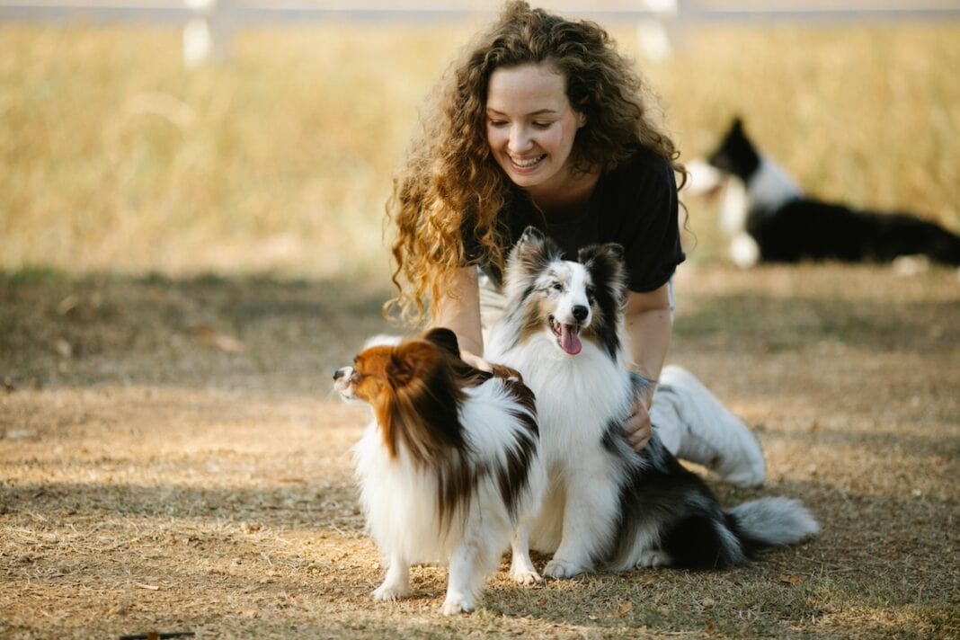 popular pet supplies feature