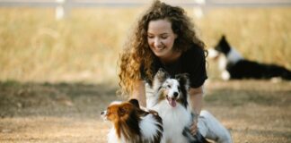 popular pet supplies feature