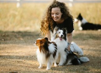 popular pet supplies feature