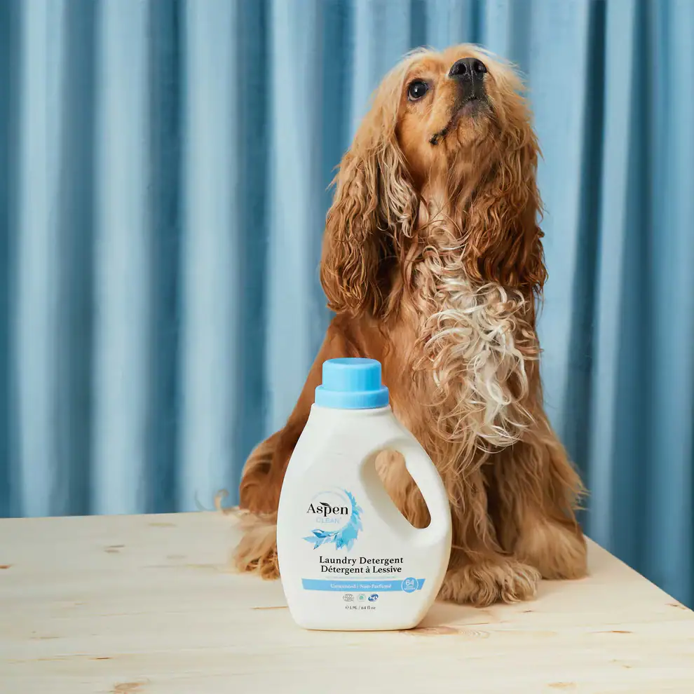 Ultimate Guide To Non Toxic Cleaning Agents: Best Natural Safer Cleaning Products For Your Eco-Friendly Home 13 Daily Mom, Magazine For Families