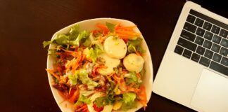 daily mom parent portal lunch meals for work