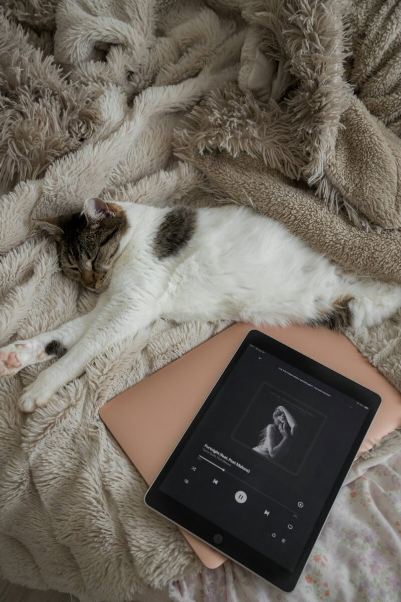 Poetcore: How To Wear The Poet Aesthetic Trend In Style, Taking Fashion Inspiration From Pinterest Chic Geeks Taylor Swift &Amp; Blair Waldorf 4 Daily Mom, Magazine For Families