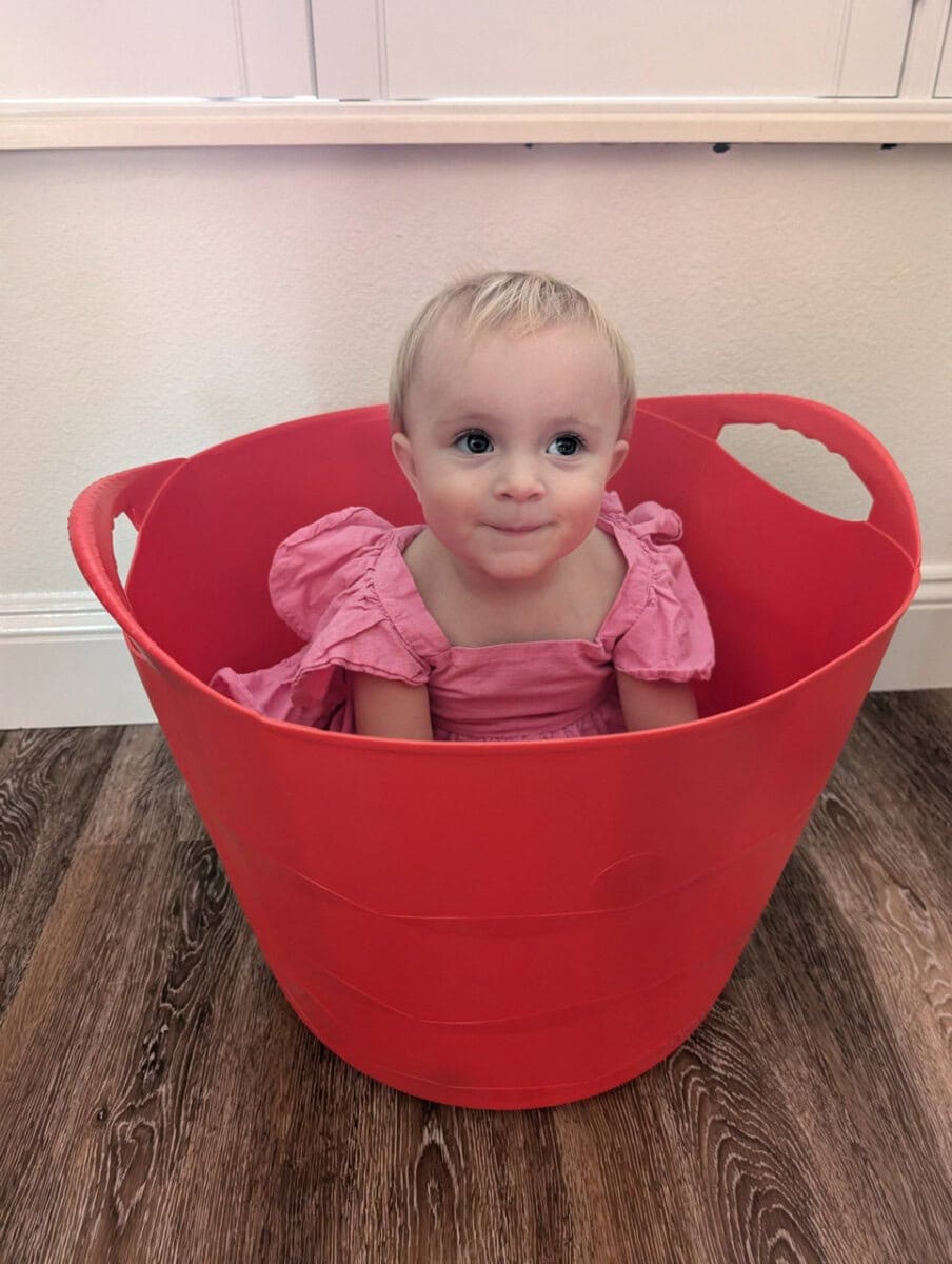 Springtime Things Our Editors Love: Best Spring Home Items We Can'T Live Without 42 Daily Mom, Magazine For Families