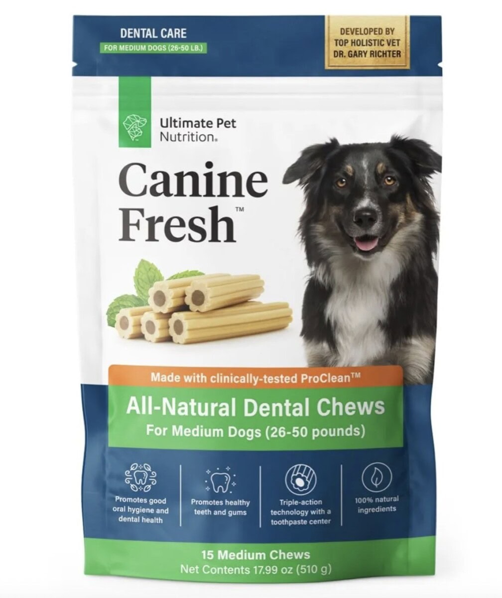 Best Collar For Training Dogs Guide: Plus Our Favorite Dog &Amp; Cat Gifts For Pet Lovers 5 Daily Mom, Magazine For Families