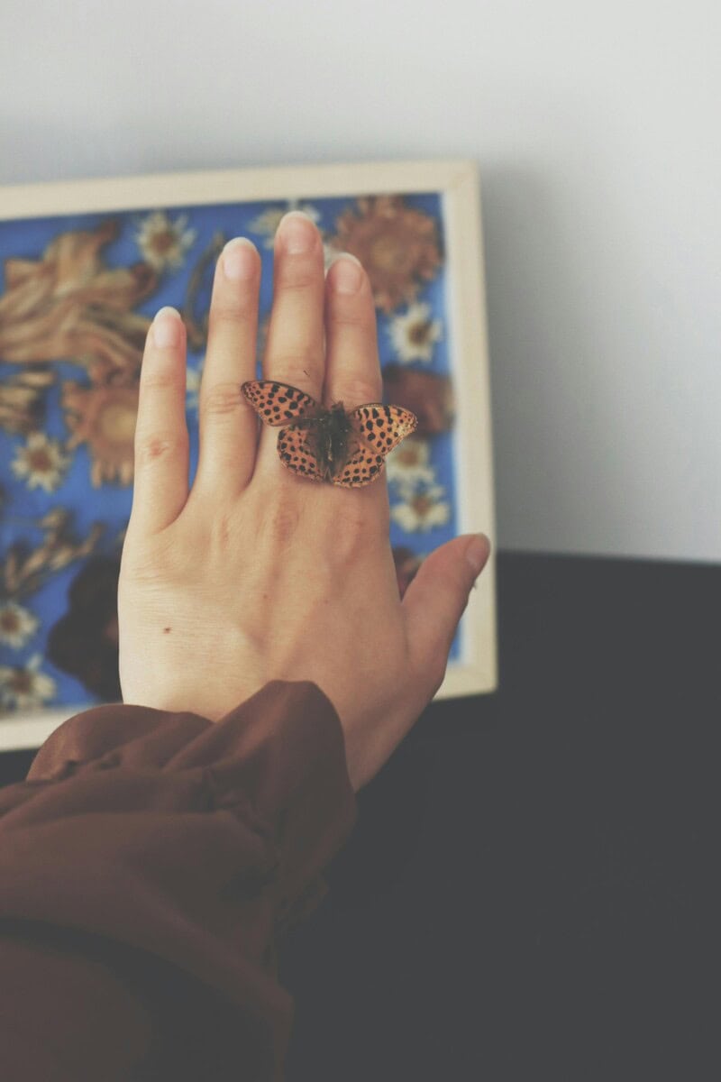 Insect Jewelry: The Unexpected Trend Turning Bugs Into Fashion Statements 7 Daily Mom, Magazine For Families