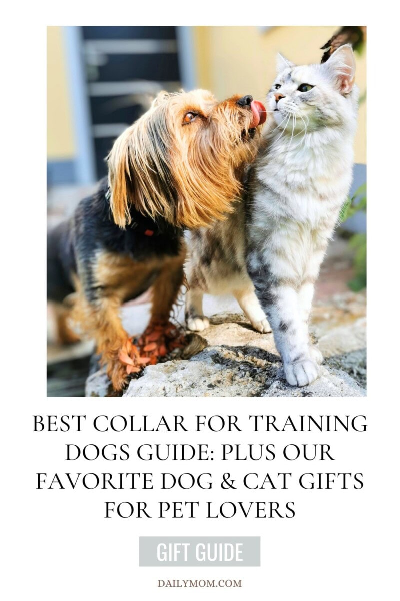 Best Collar For Training Dogs Guide: Plus Our Favorite Dog &Amp; Cat Gifts For Pet Lovers 16 Daily Mom, Magazine For Families