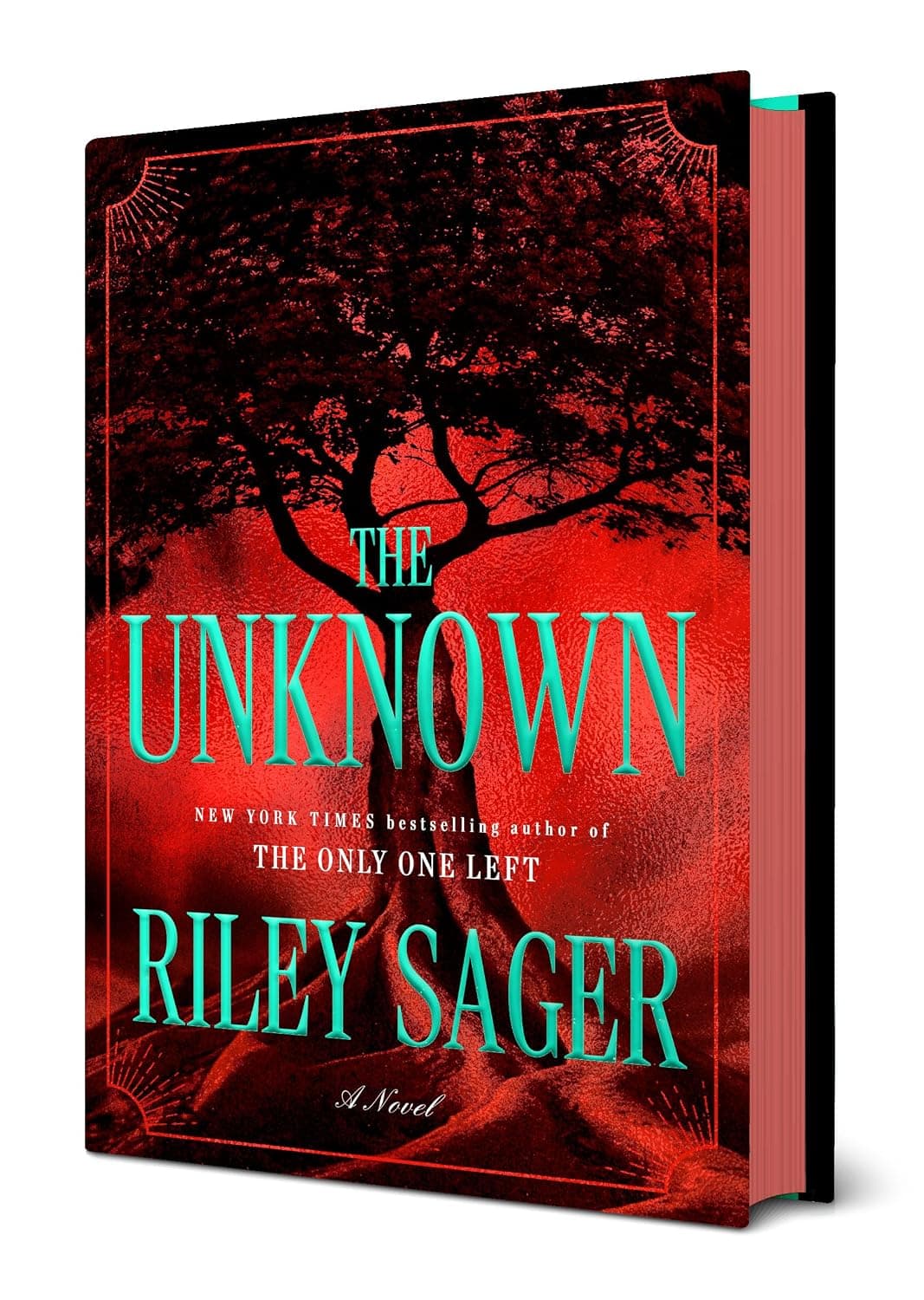 The Unknown Riley Sagar