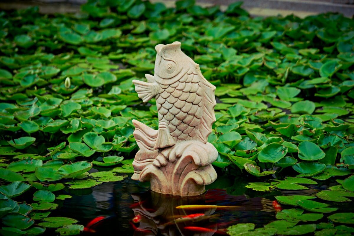 Building A Backyard Pond: How To Create A Koi Pond In Backyard Garden Spaces 2 Daily Mom, Magazine For Families