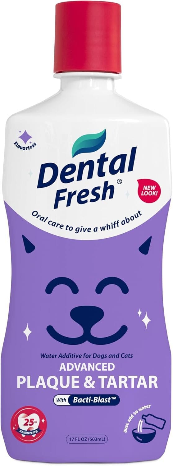 Can Animal Assisted Therapy Help Your Family? The Benefits Of Aat For Health And Well-Being, Plus Our Favorite Pet Care Products 20 Daily Mom, Magazine For Families