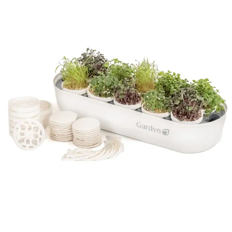 Outdoor Living Space Ideas and Summer Outdoor Gifts to Transform Your Backyard into a Stylish Oasis 67 Daily Mom, Magazine for Families Outdoor Living Space Ideas And Summer Outdoor Gifts To Transform Your Backyard Into A Stylish Oasis 67 Daily Mom, Magazine For Families