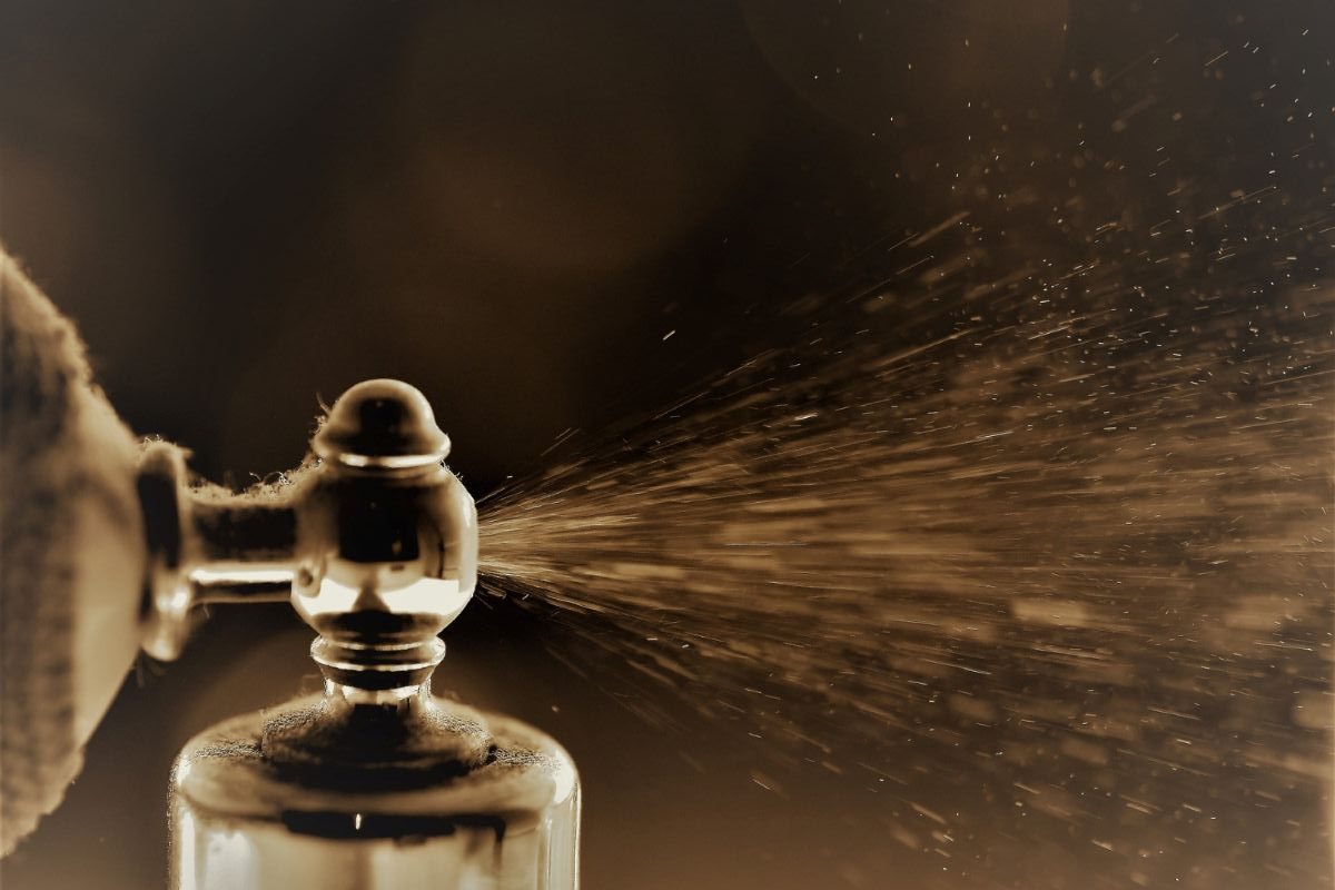Top High End Perfume Brands: The Best Luxury Perfume Brands, Expensive Fragrances, &Amp; Popular Scents Worth Exploring 2 Daily Mom, Magazine For Families