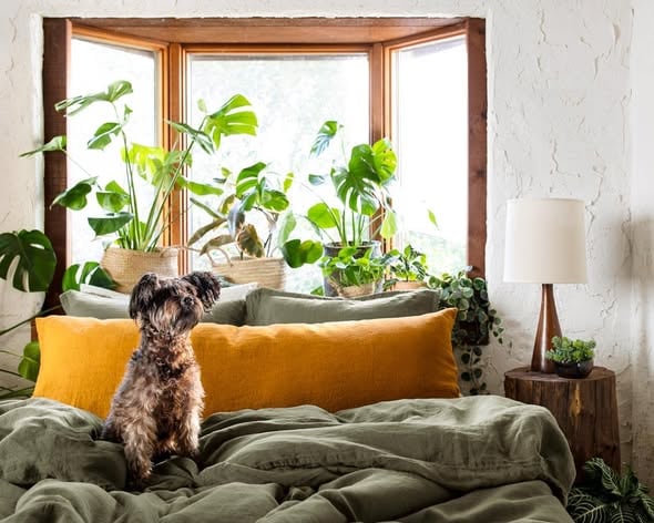 Butter Mom Style: The Cozy Kitchen Trend And Best Summer Home Products We’re Loving 47 Daily Mom, Magazine For Families