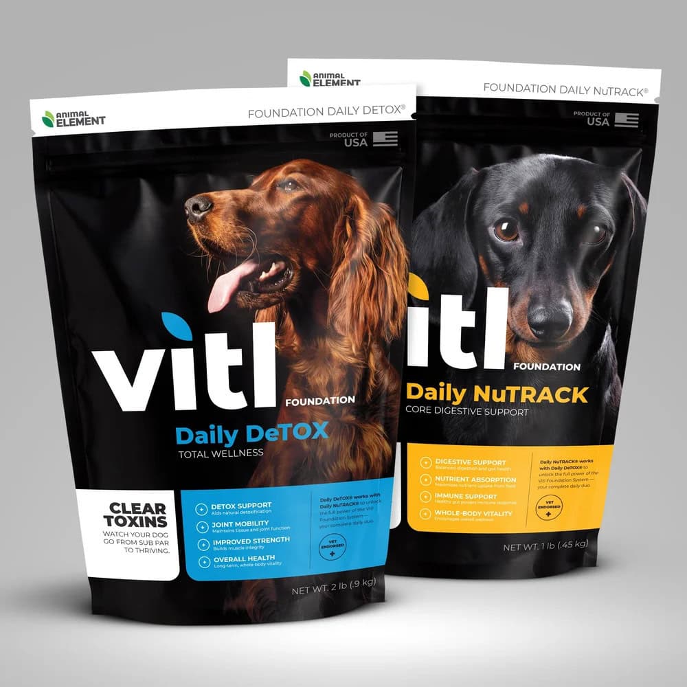 Can Animal Assisted Therapy Help Your Family? The Benefits Of Aat For Health And Well-Being, Plus Our Favorite Pet Care Products 15 Daily Mom, Magazine For Families