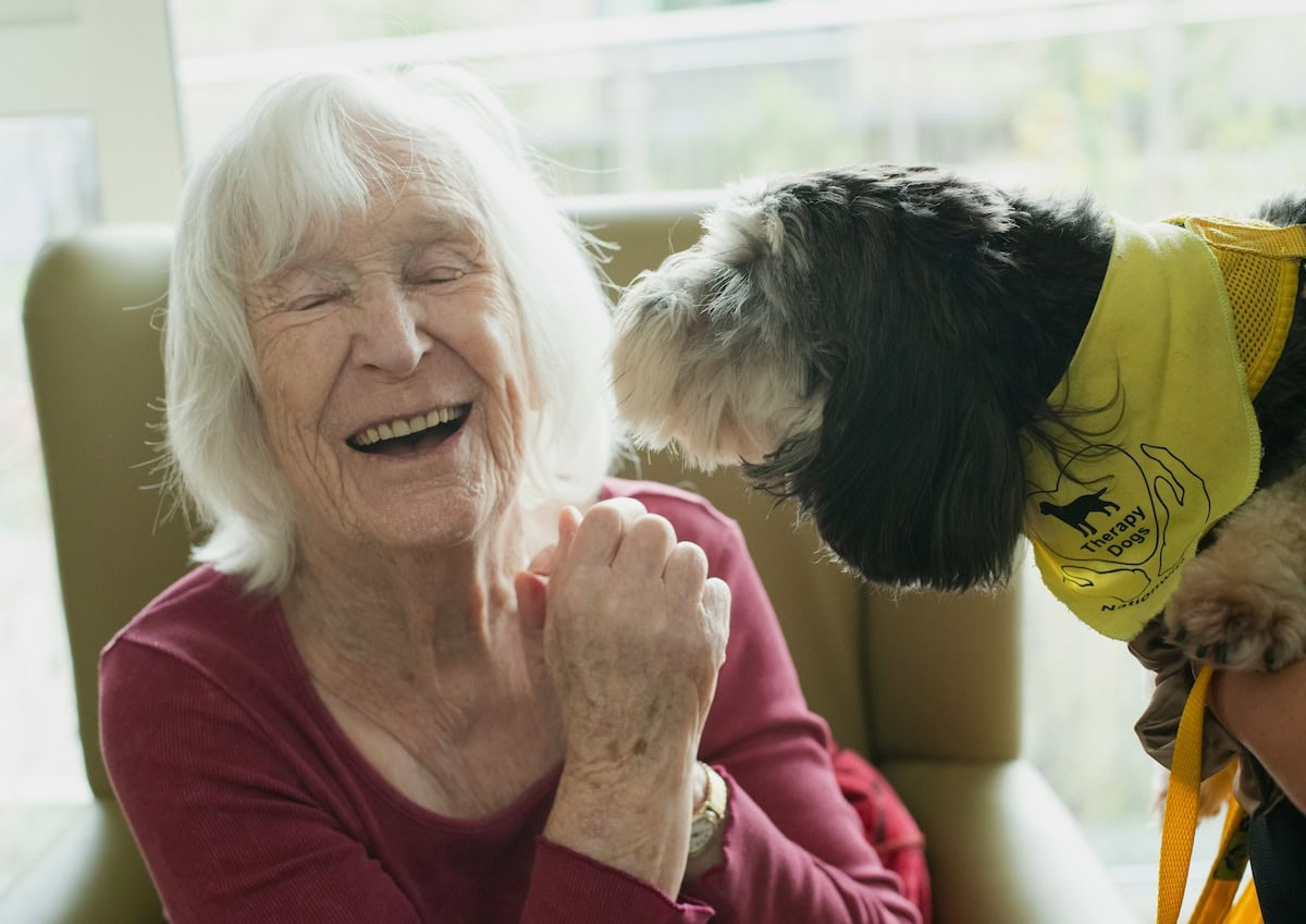 Can Animal Assisted Therapy Help Your Family? The Benefits Of Aat For Health And Well-Being, Plus Our Favorite Pet Care Products 8 Daily Mom, Magazine For Families