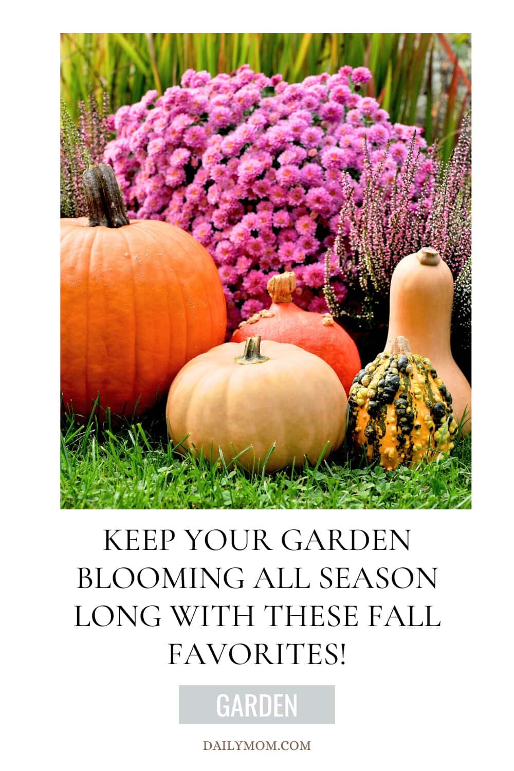 Fall Plants for a Beautiful Garden: Best Fall Vegetables, Flowers, and Crops to Grow This Season, & Product Ideas for Your Garden 30 Daily Mom, Magazine for Families Fall Plants For A Beautiful Garden: Best Fall Vegetables, Flowers, And Crops To Grow This Season, &Amp; Product Ideas For Your Garden 29 Daily Mom, Magazine For Families
