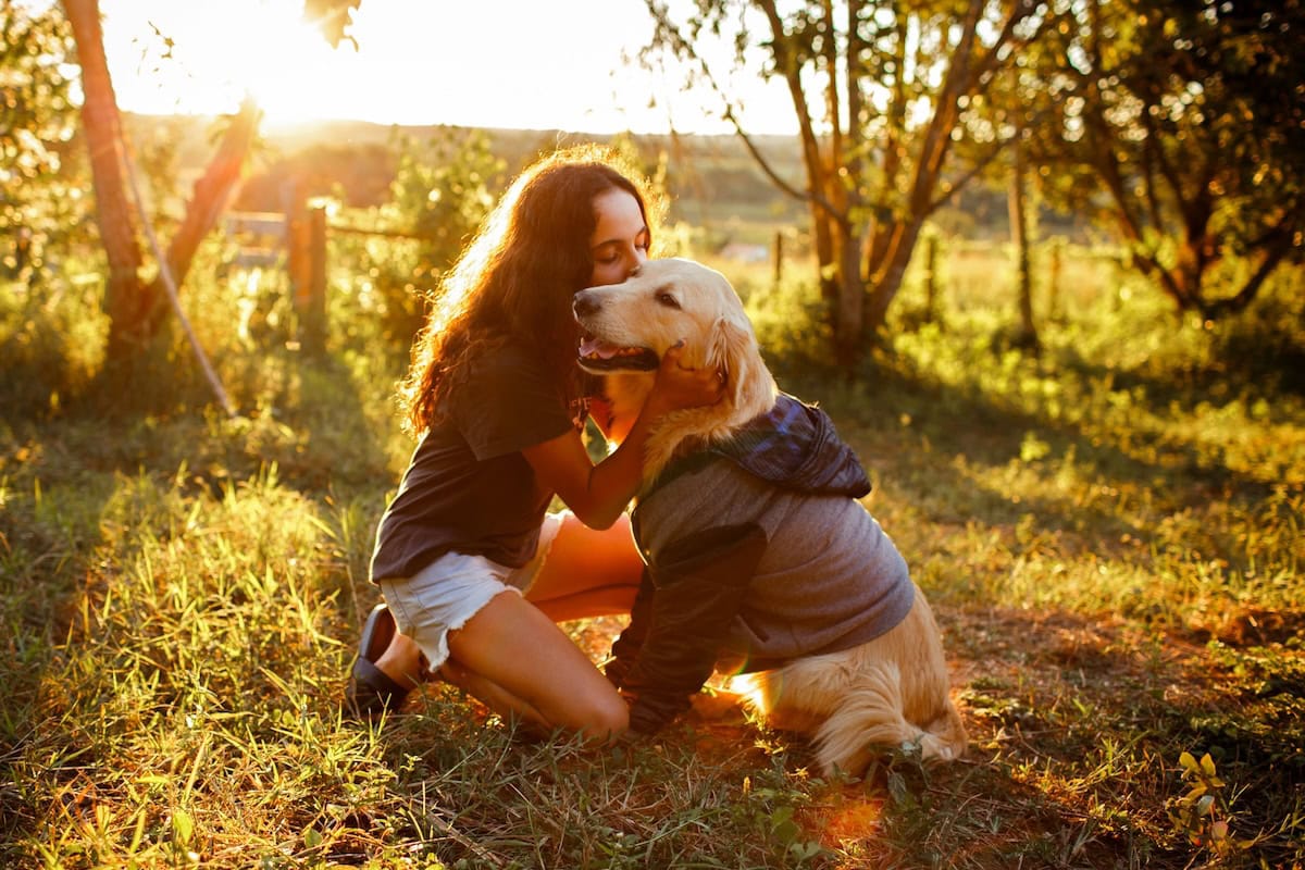 Can Animal Assisted Therapy Help Your Family? The Benefits Of Aat For Health And Well-Being, Plus Our Favorite Pet Care Products 11 Daily Mom, Magazine For Families