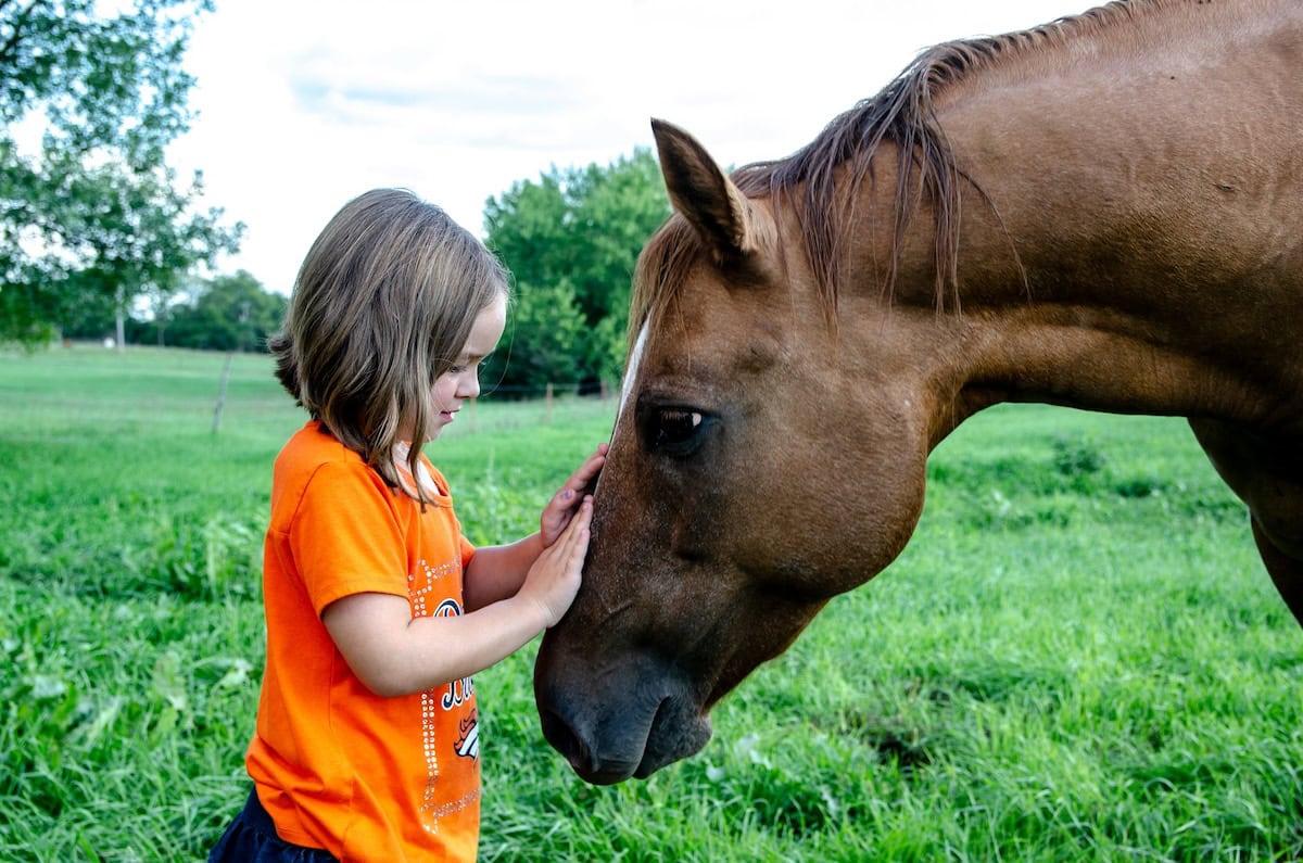 Can Animal Assisted Therapy Help Your Family? The Benefits Of Aat For Health And Well-Being, Plus Our Favorite Pet Care Products 6 Daily Mom, Magazine For Families