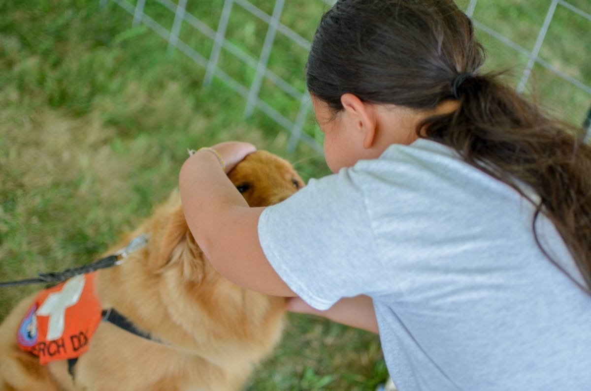 Can Animal Assisted Therapy Help Your Family? The Benefits Of Aat For Health And Well-Being, Plus Our Favorite Pet Care Products 7 Daily Mom, Magazine For Families