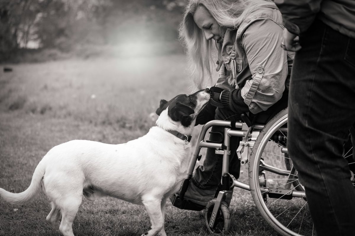 Can Animal Assisted Therapy Help Your Family? The Benefits Of Aat For Health And Well-Being, Plus Our Favorite Pet Care Products 1 Daily Mom, Magazine For Families
