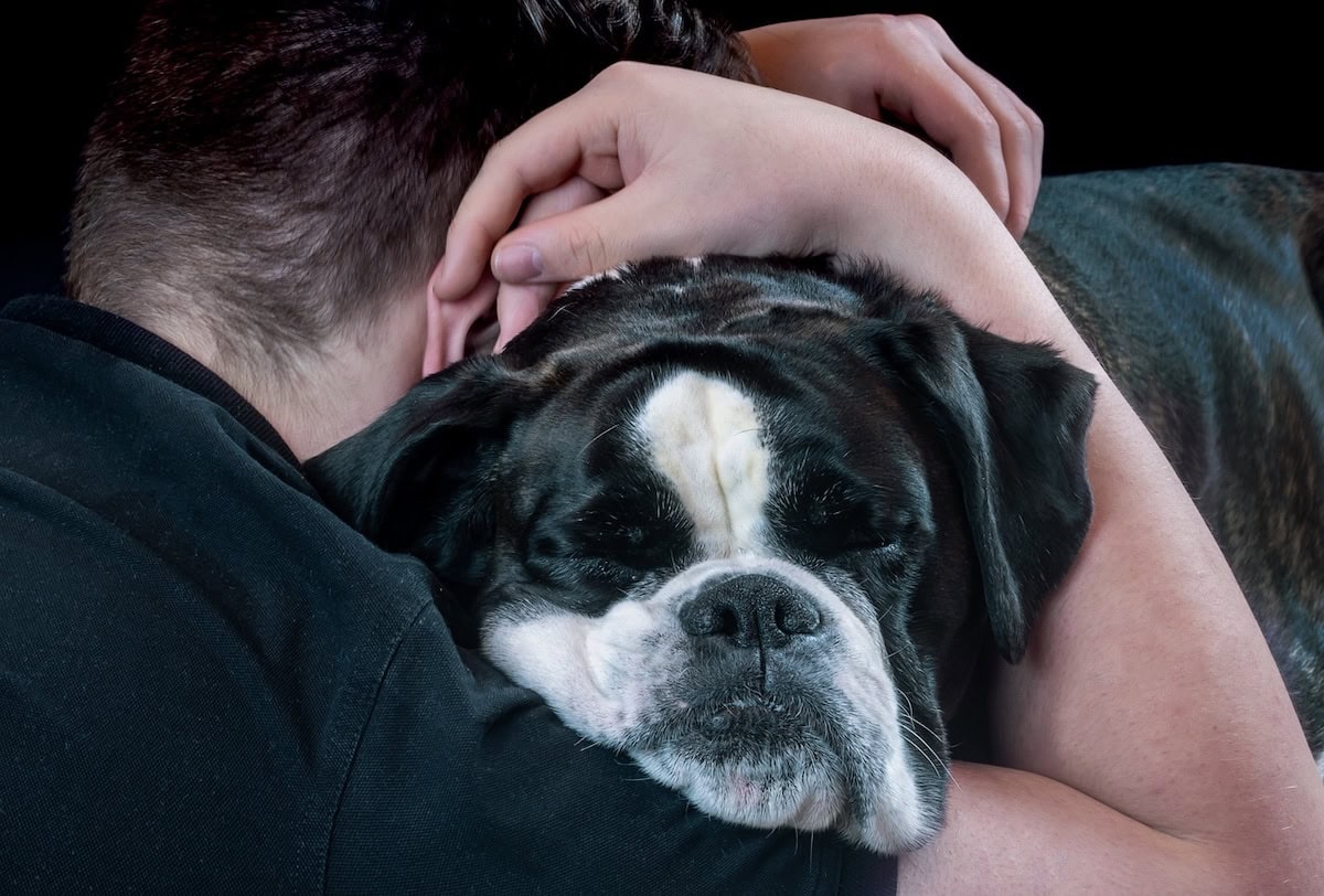 Can Animal Assisted Therapy Help Your Family? The Benefits Of Aat For Health And Well-Being, Plus Our Favorite Pet Care Products 5 Daily Mom, Magazine For Families
