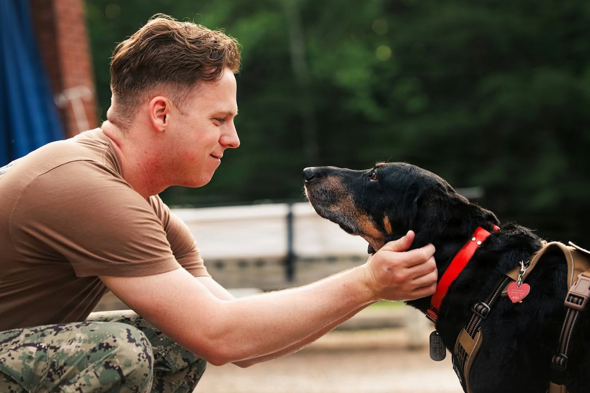 Can Animal Assisted Therapy Help Your Family? The Benefits Of Aat For Health And Well-Being, Plus Our Favorite Pet Care Products 9 Daily Mom, Magazine For Families