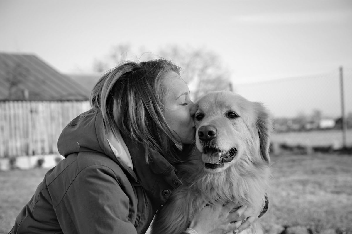 Can Animal Assisted Therapy Help Your Family? The Benefits Of Aat For Health And Well-Being, Plus Our Favorite Pet Care Products 4 Daily Mom, Magazine For Families