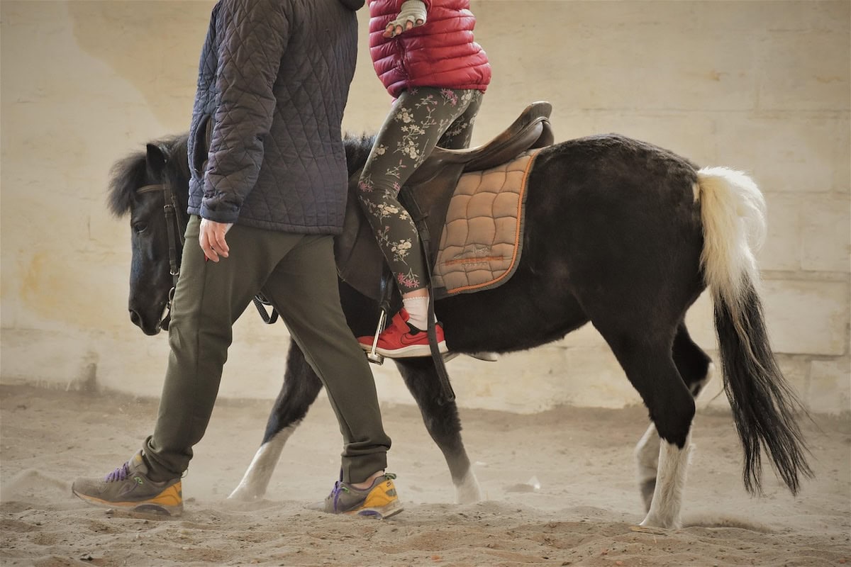 Can Animal Assisted Therapy Help Your Family? The Benefits Of Aat For Health And Well-Being, Plus Our Favorite Pet Care Products 3 Daily Mom, Magazine For Families