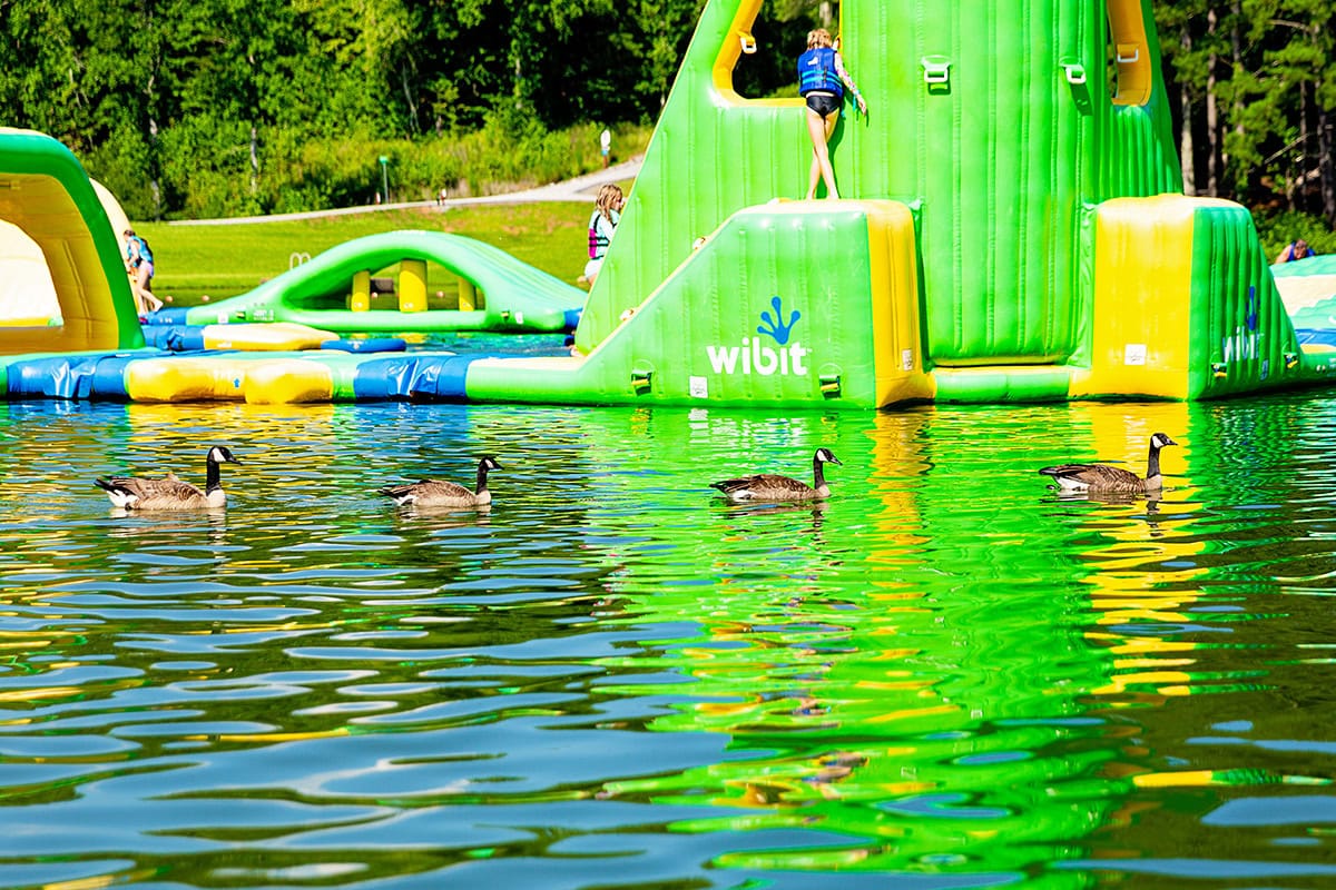 Jellystone Park Golden Valley