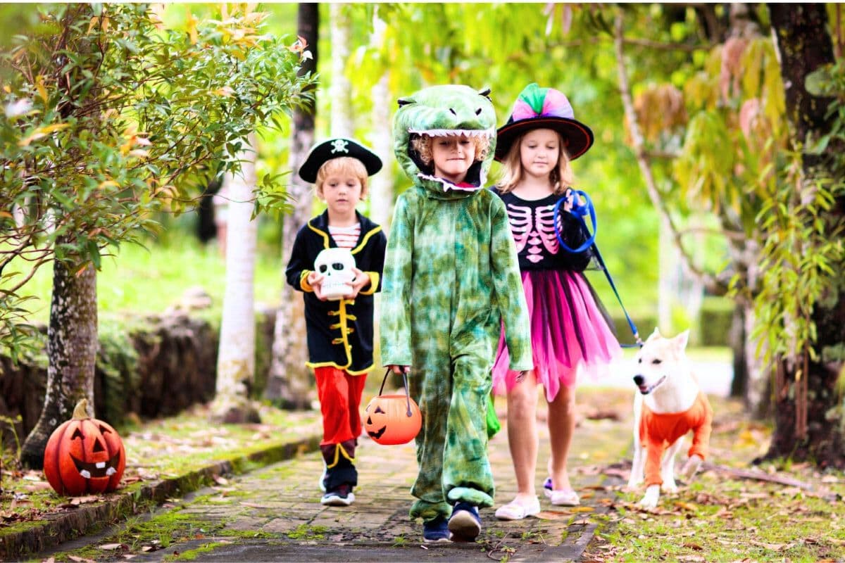 How To Help Your Kid Get Ready For Halloween: Spooky Ideas &Amp; Toys To Help Your Child Get Halloween Ready Without Fear Or A Scare 1 Daily Mom, Magazine For Families