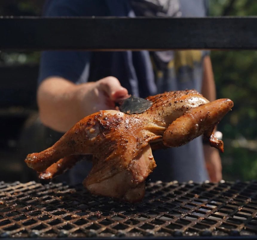 The Best Meat Delivery Service? Why Force Of Nature Is The Best Meat Subscription Box To Have Delivered To Your Door 24 Daily Mom, Magazine For Families