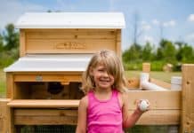 A Beginner's Guide To Homesteading