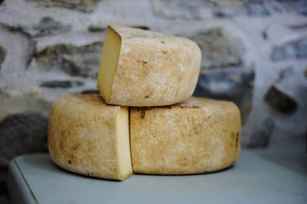 Healthy & Homemade Cheese Sticks
