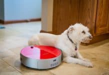 Daily Mom Spotlight: Our New Favorite Robot: Bobi Pet
