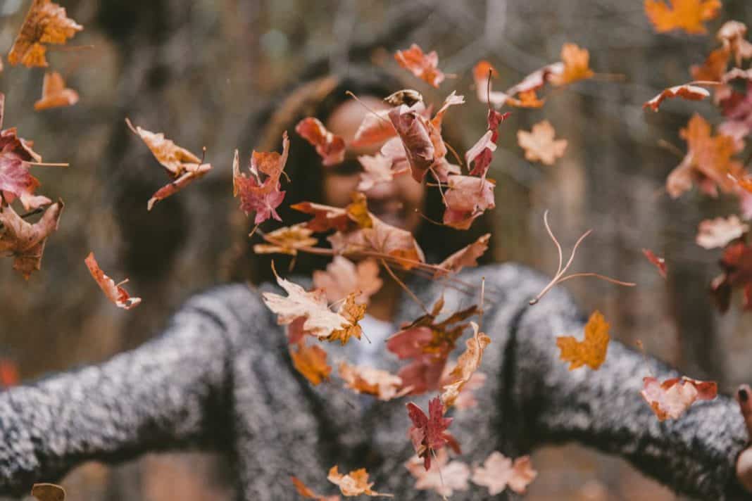 Homeowners Maintenance Checklist: Fall Edition