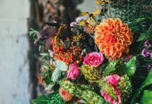 Fun for Families: Philadelphia Flower Show Fun For Families: Philadelphia Flower Show